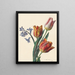 Drei Tulpen und ein Zweig Hyazinthe - C. de Haspe — gerahmtes Bild an der Wand