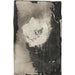 Reproduktion des Gemäldes Blume - Carel Adolph Lion Cachet