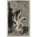 Reproduktion des Gemäldes Fleur orchidée 1874 1945 - Carel Adolph Lion Cachet