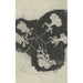 Blumenstudie - Carel Adolph Lion Cachet — Ansicht des Kunstwerks