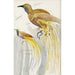 Reproduktion des Gemäldes Großes Paradiesvogel-Gemälde - Carel Adolph Lion Cachet