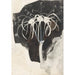 Studie des Geißblatt - Carel Adolph Lion Cachet — Ansicht des Kunstwerks