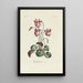Cyclamen - Carington Bowles — gerahmtes Bild an der Wand