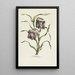 Fritillaire - Carington Bowles — gerahmtes Bild an der Wand