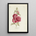 Rose trémière - Carington Bowles — gerahmtes Bild an der Wand