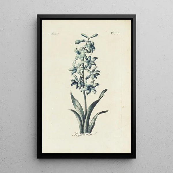 Reproduktion des Gemäldes Jacinthe - Carington Bowles