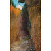 Reproduktion des Gemäldes Im Canyon - Carl Arp