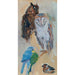 Reproduktion des Gemäldes Studie von Schönbrunn Tiere Vögel - Carl Fahringer
