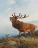 Ein röhrendes Reh - Carl Friedrich Deiker — Ansicht des Kunstwerks
