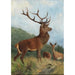 Hirsch dominierend - Carl Friedrich Deiker — Ansicht des Kunstwerks