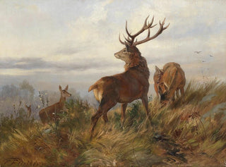 Hirsch im Morgennebel - Carl Friedrich Deiker — Ansicht des Kunstwerks