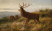Troupeau de cerfs - Carl Friedrich Deiker — Ansicht des Kunstwerks