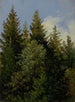 Sapins - Carl Gustav Carus — Ansicht des Kunstwerks