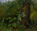 Weidenstamm mit Unterholz - Carl Gustav Carus — Ansicht des Kunstwerks
