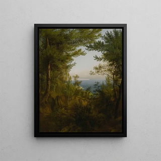 Carl Hummel - Rgen.webp