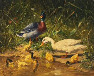 Enten mit Entenküken am Wasserufer - Carl Jutz — Ansicht des Kunstwerks