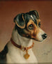 Portrait eines Jack Russell Terriers - Carl Reichert — Ansicht des Kunstwerks