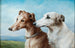 Zwei Windhunde - Carl Reichert — Ansicht des Kunstwerks