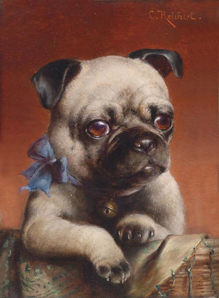 Carl Reichert - Young pug.webp