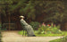 Dame lisant dans un parc - Carl Scherres — Ansicht des Kunstwerks