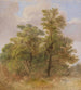 Studie der Bäume - Carl Spitzweg — Ansicht des Kunstwerks