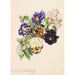 Kleines Bouquet mit Vergissmeinnicht, Apfelblumen und Primeln - Caroline Therese Friedrich — Ansicht des Kunstwerks
