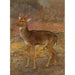 Reproduktion des Gemäldes Hirsch - Rosa Bonheur