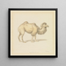 Kamel russisch - Samuel Howitt — gerahmtes Bild an der Wand