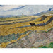 Reproduktion des Gemäldes Champ clos avec laboureur - Vincent van Gogh