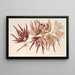 Acer polymorphum palmatum - Charles Antoine Lemaire — gerahmtes Bild an der Wand