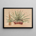 Agave schidigera - Charles Antoine Lemaire — gerahmtes Bild an der Wand
