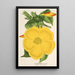 Allamanda nobilis - Charles Antoine Lemaire — gerahmtes Bild an der Wand