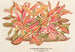 Alternanthera amabilis var. - Charles Antoine Lemaire — Ansicht des Kunstwerks