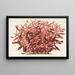 Alternanthera spathulata - Charles Antoine Lemaire — gerahmtes Bild an der Wand