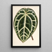 Reproduktion des Gemäldes Anthurium crystallinum - Charles Antoine Lemaire