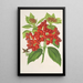 Reproduktion des Gemäldes Aucuba japonica Thunb en fruits - Charles Antoine Lemaire
