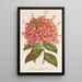 Azalée Bouquet de Flore Hort Versch - Charles Antoine Lemaire — gerahmtes Bild an der Wand
