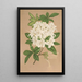 Reproduktion des Gemäldes Azalea sinensis var Albiflora - Charles Antoine Lemaire