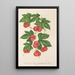 Reproduktion des Gemäldes Bryonopsis laciniata var erythrocarpa - Charles Antoine Lemaire