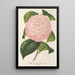 Reproduktion des Gemäldes Camellia Archiduc Étienne - Charles Antoine Lemaire