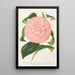 Reproduktion des Gemäldes Camellia Duchesse de Nassau - Charles Antoine Lemaire