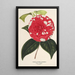 Camellia Giardino Santarelli - Charles Antoine Lemaire — gerahmtes Bild an der Wand