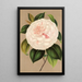 Reproduktion des Gemäldes Camellia Madame Cachet - Charles Antoine Lemaire