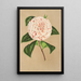 Reproduktion des Gemäldes Camellia Principessa Clotilde - Charles Antoine Lemaire