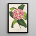 Reproduktion des Gemäldes Camellia tricolor imbricata plena - Charles Antoine Lemaire