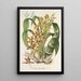 Reproduktion des Gemäldes Catasetum trimerochilum - Charles Antoine Lemaire