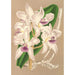 Cattleya amethystoglossa - Charles Antoine Lemaire — Ansicht des Kunstwerks