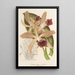 Reproduktion des Gemäldes Cattleya elegans Ch. Morren - Charles Antoine Lemaire
