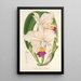 Cattleya quadricolor - Charles Antoine Lemaire — gerahmtes Bild an der Wand