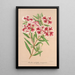 Clarkia pulchella var. marginata - Charles Antoine Lemaire — gerahmtes Bild an der Wand